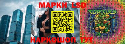 прущие крисы Будённовск