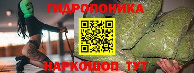 прущие крисы Будённовск