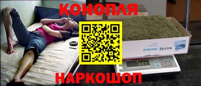 прущие крисы Будённовск