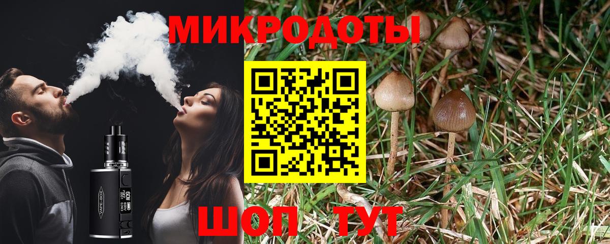 Таганрог  Псилоцибиновые грибы Cubensis  Вход с VPN 
